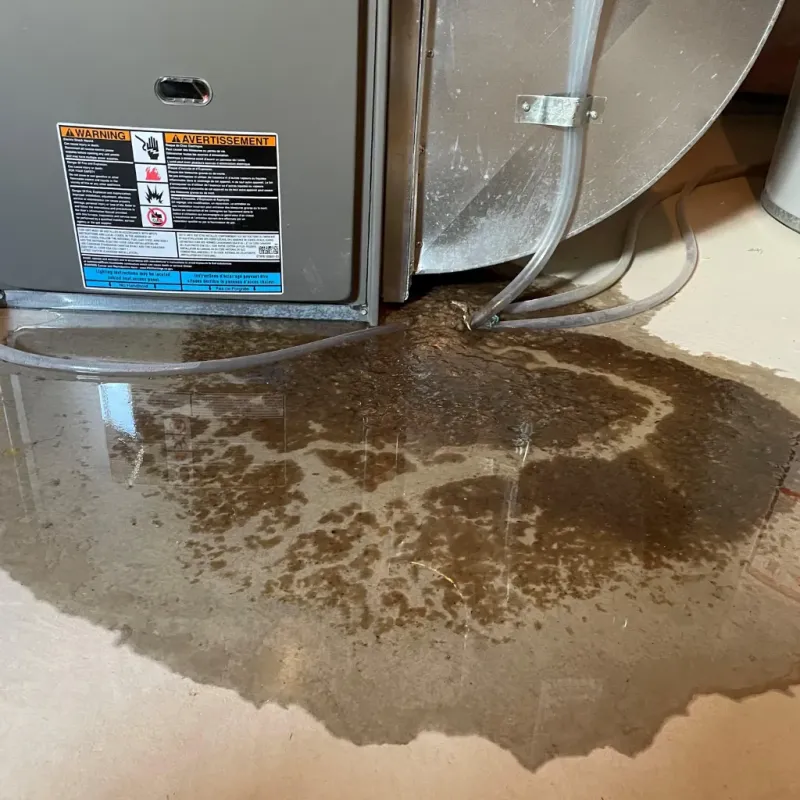 Appliance Leak Cleanup in Ash Flat, AR